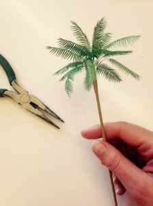 palm